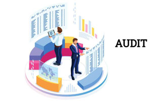 Auditing